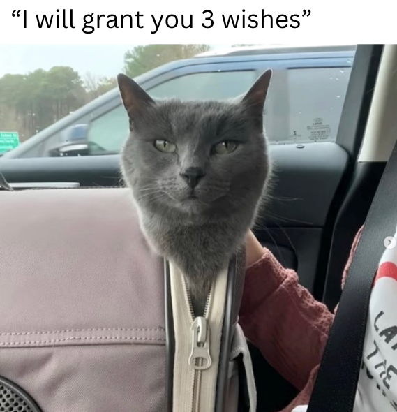 "I will grant you 3 wishes" (TT) LA आ
