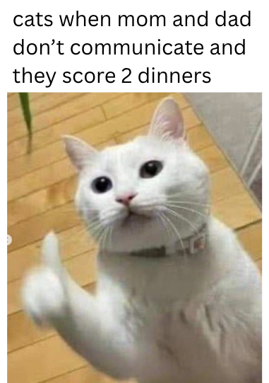 cats when mom and dad don't communicate and they score 2 dinners