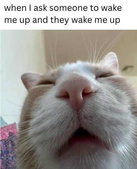 when I ask someone to wake me up and they wake me up