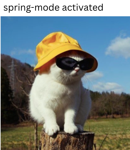 spring-mode activated.