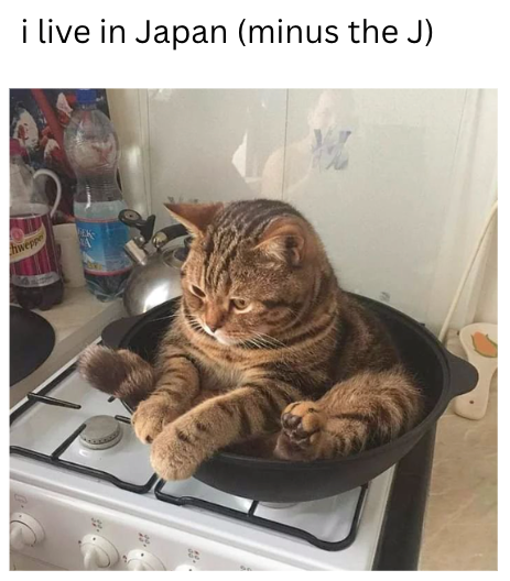 hweppe i live in Japan (minus the J) 悅