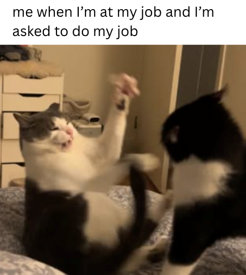 me when I'm at my job and I'm asked to do my job