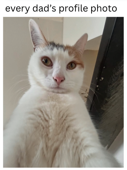 every dad's profile photo