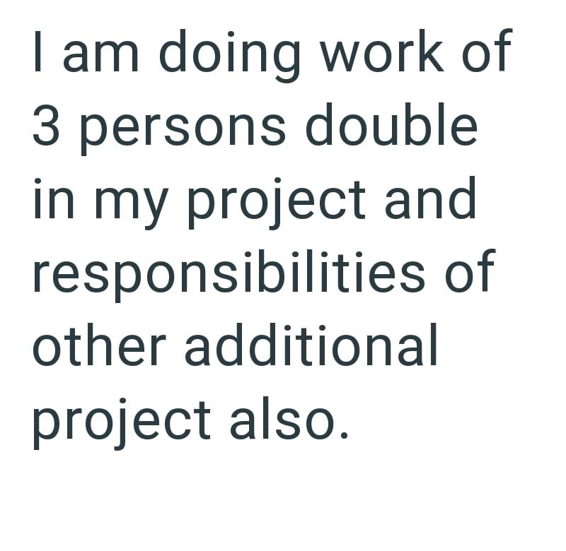 I am doing work of 3 persons double in my project and responsibilities of other additional project also.