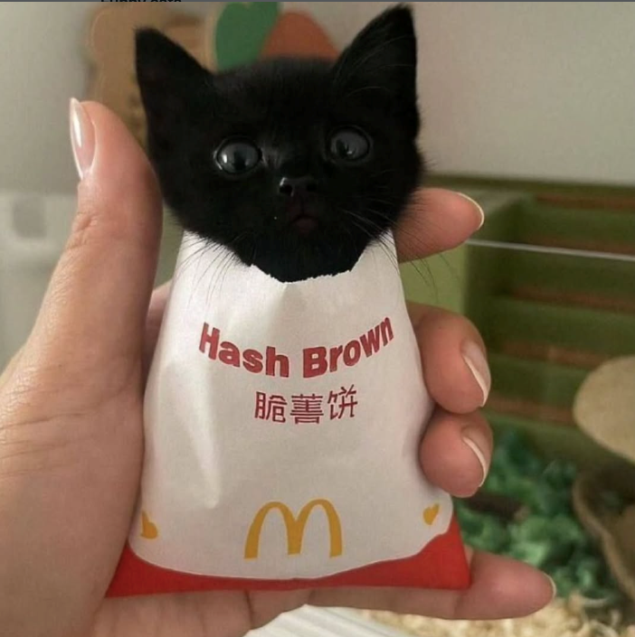 Hash Brown 脆薯饼 3