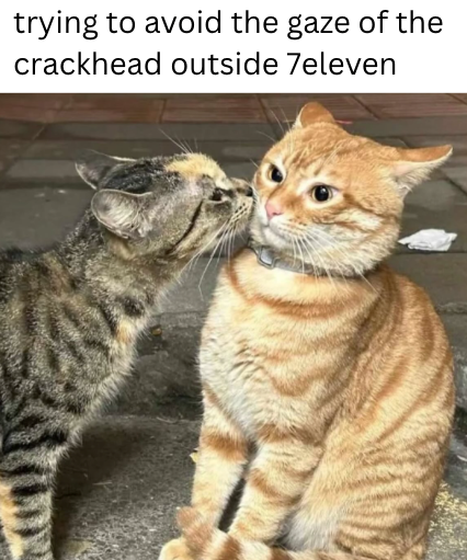 trying to avoid the gaze of the crackhead outside 7eleven