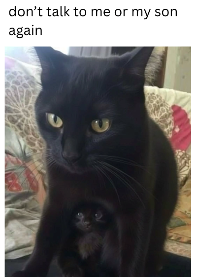 don't talk to me or my son again