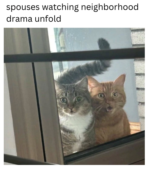 spouses watching neighborhood drama unfold