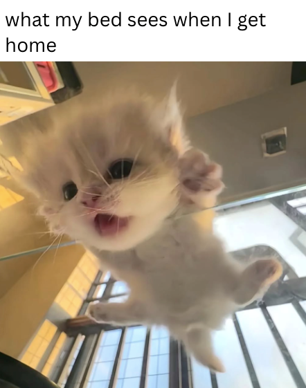 what my bed sees when I get home