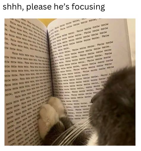 shhh, please he's focusing meow meow meow, Meow meow meow me. No w. Meow meow new, M. Meow meow n Dw meow meow meow meow Ow. Meow meow meow, neox Ow. Meow meow meo, How meow meow. eow meow meow meow meow nex. P Meow meow meow meow, new. Meow meow meow meow meow, Now meow meow meow. Meow meow meow meow Now neow meow meow meow. Meow meow meow ow neow meow meow meow meow meow meow Now neow meow meow meow meow meow. Meow Now, neow meow. meow meow meow. Meow meow meow. Meow meow Meow meow neov neov.
