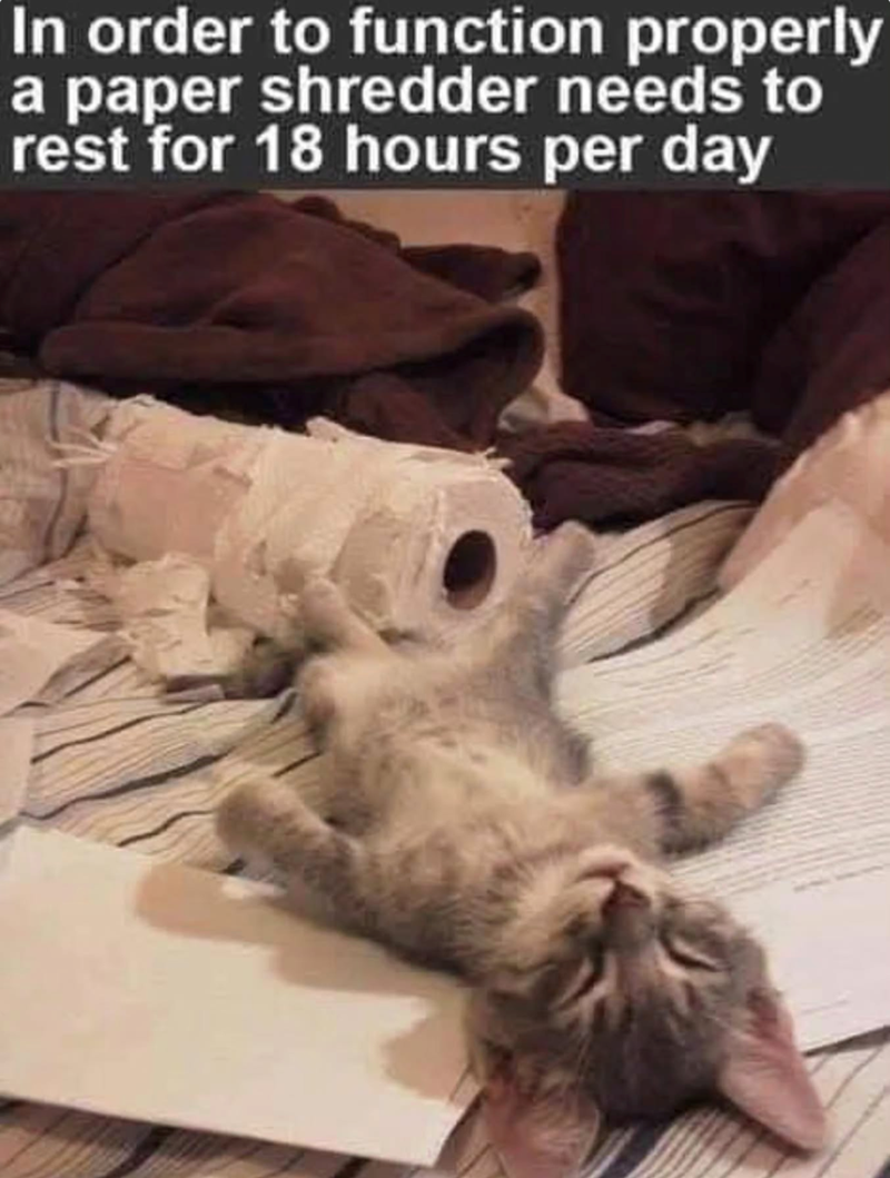 In order to function properly a paper shredder needs to rest for 18 hours per day