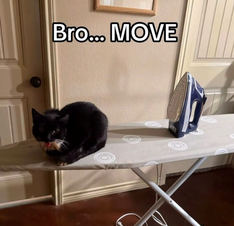 Bro... MOVE