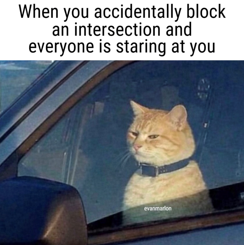 When you accidentally block an intersection and everyone is staring at you evanmarlon