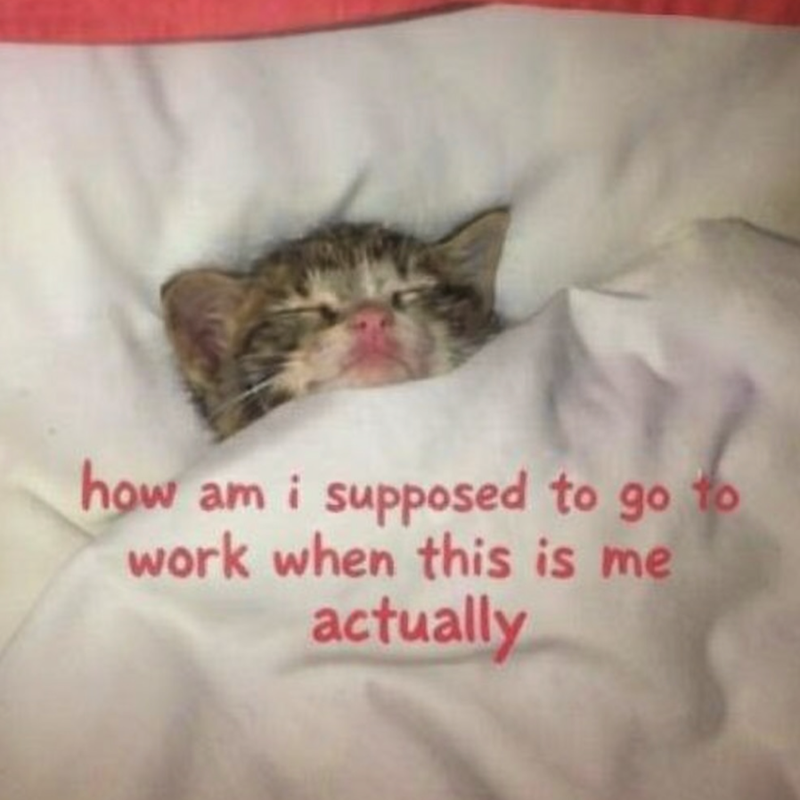 how am i supposed to go to work when this is me actually