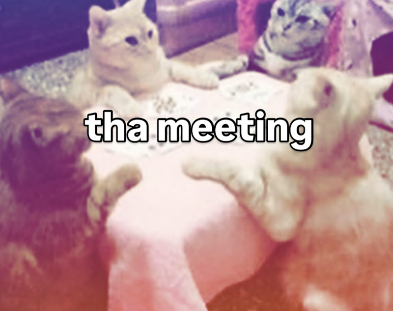 tha meeting