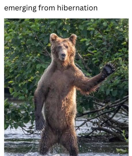 emerging from hibernation