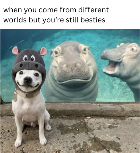 when you come from different worlds but you're still besties