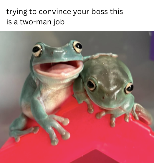 trying to convince your boss this is a two-man job