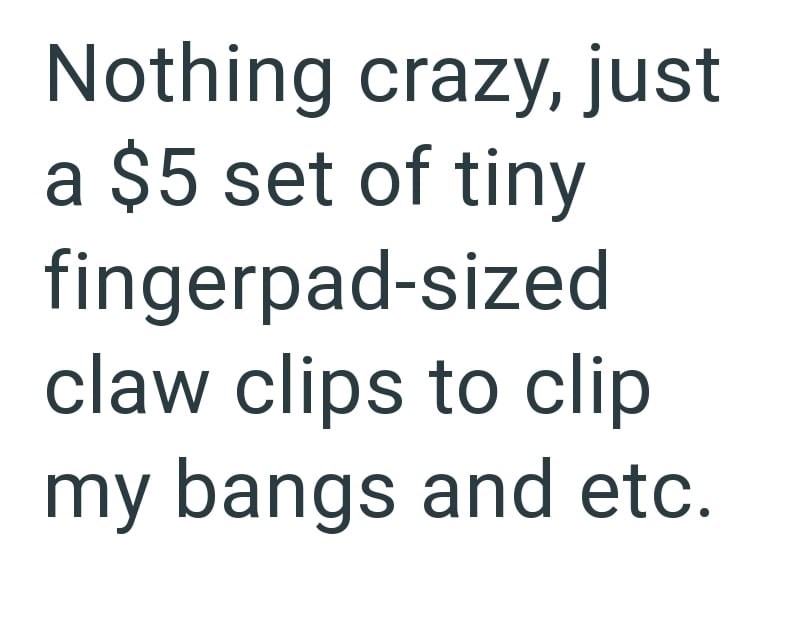 Nothing crazy, just a $5 set of tiny fingerpad-sized claw clips to clip my bangs and etc.