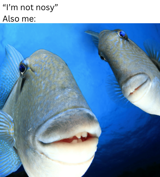 "I'm not nosy" Also me: