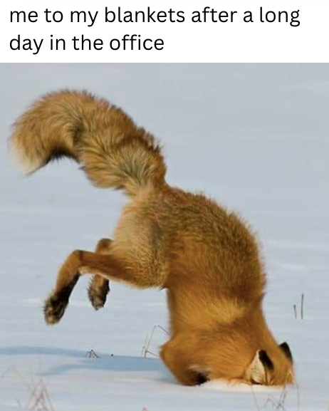 ין me to my blankets after a long day in the office