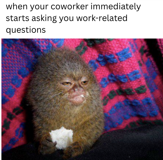 when your coworker immediately starts asking you work-related questions