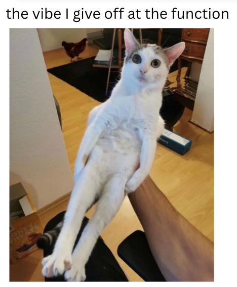 RE the vibe I give off at the function