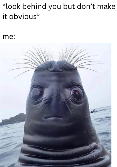 "look behind you but don't make it obvious" me: