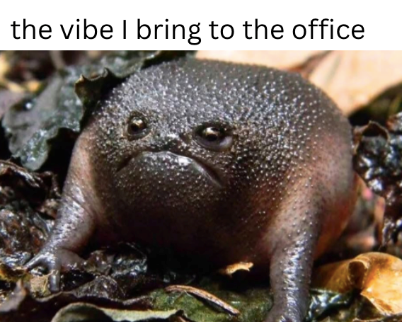 the vibe I bring to the office