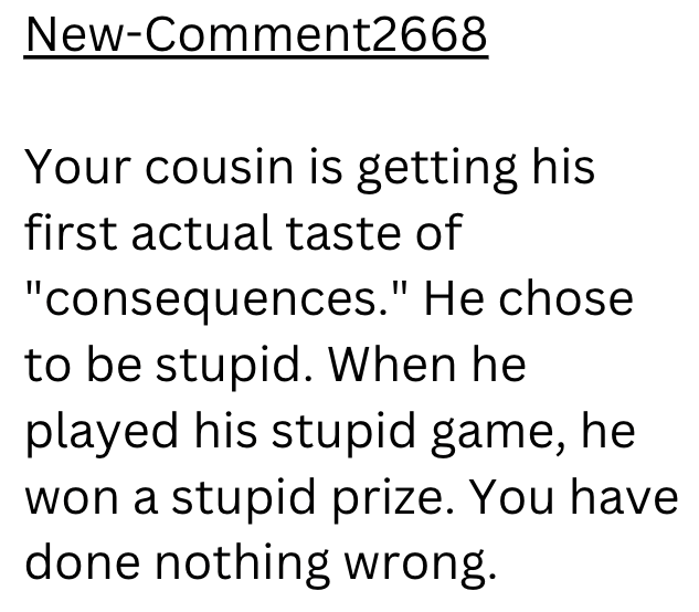 New-Comment2668 Your cousin is getting his first actual taste of "consequences." He chose to be stupid. When he played his stupid game, he won a stupid prize. You have done nothing wrong.