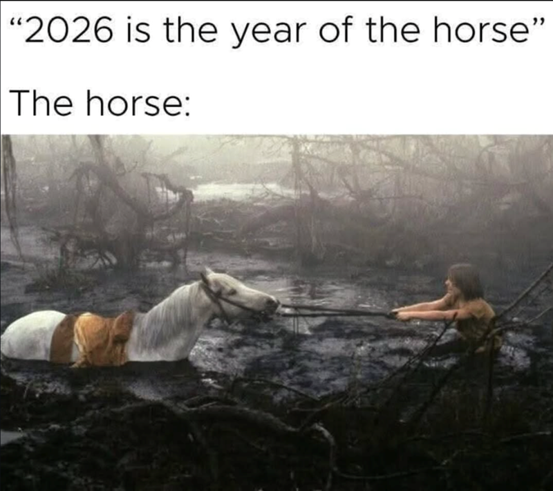 "2026 is the year of the horse" The horse: