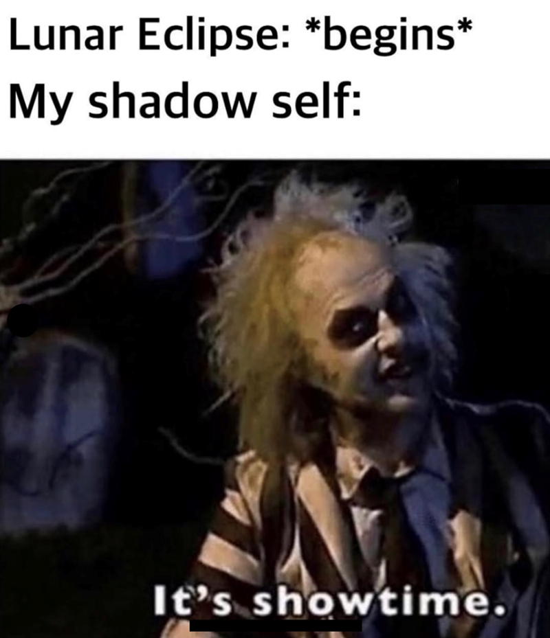 Lunar Eclipse: *begins* My shadow self: It's showtime.