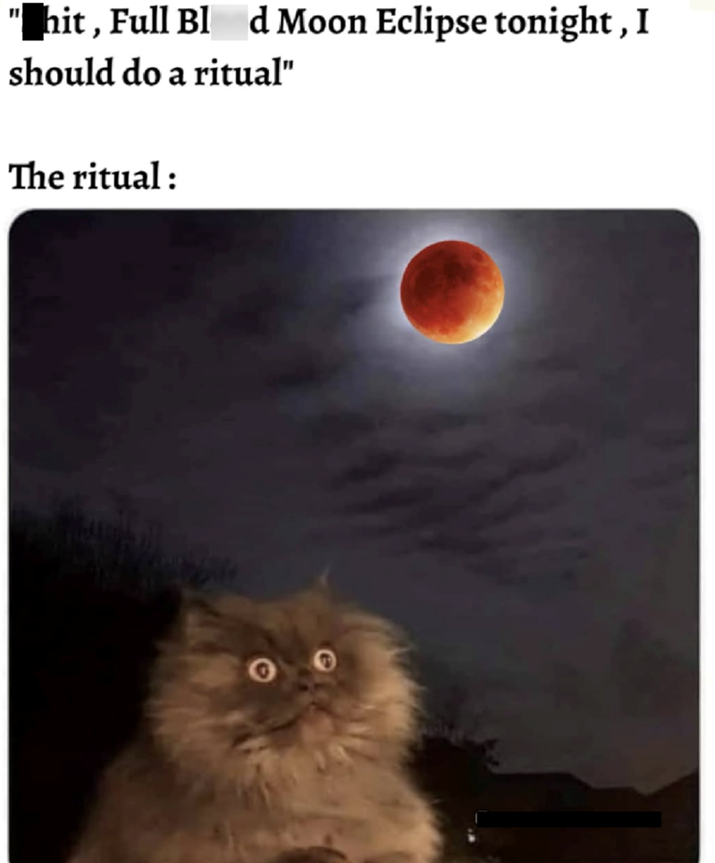 "hit, Full Bld Moon Eclipse tonight, I should do a ritual" The ritual: