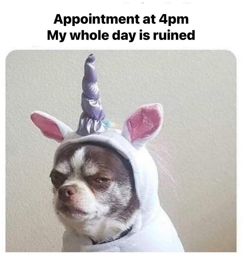 Appointment at 4pm My whole day is ruined