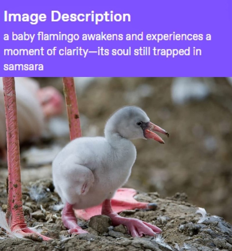 Image Description a baby flamingo awakens and experiences a moment of clarity—its soul still trapped in samsara