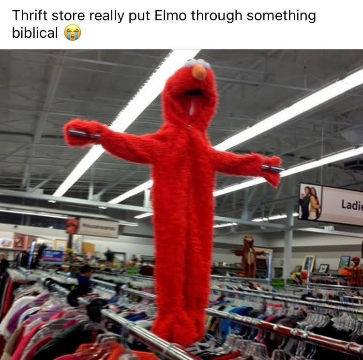 Thrift store really put Elmo through something biblical Ladie