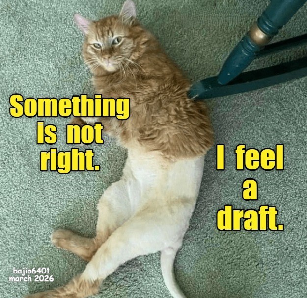 Cheezburger Image 10611426304