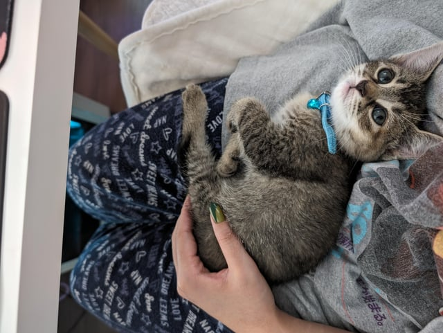 LOVE B eet dreams LOVE SWEET ANS 177 133MS Fou が始まる。 NA T BREAM 3807 WHEN'S Sment doen 7 SWEET 3401