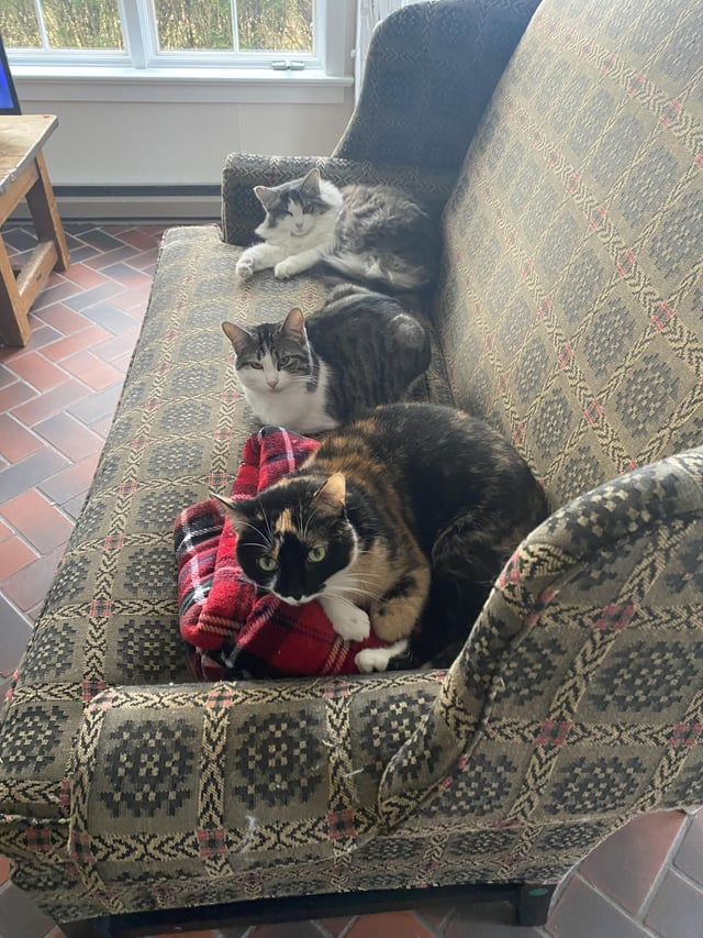 Cheezburger Image 10611439616