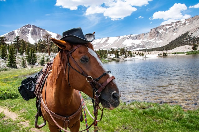 Cheezburger Image 10611440640