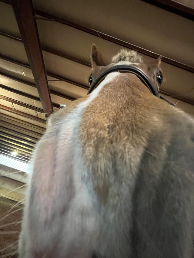 Cheezburger Image 10611442688