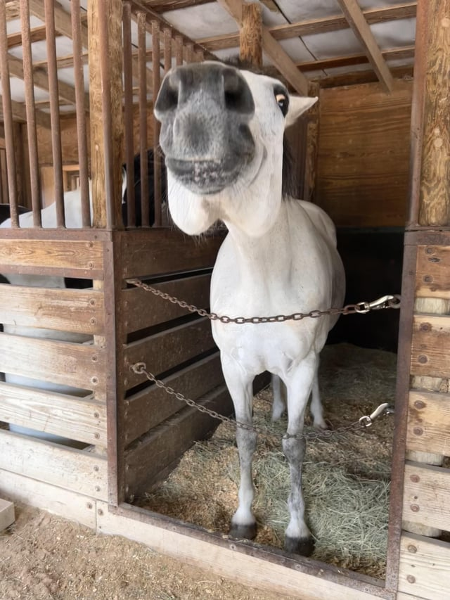 Cheezburger Image 10611443712