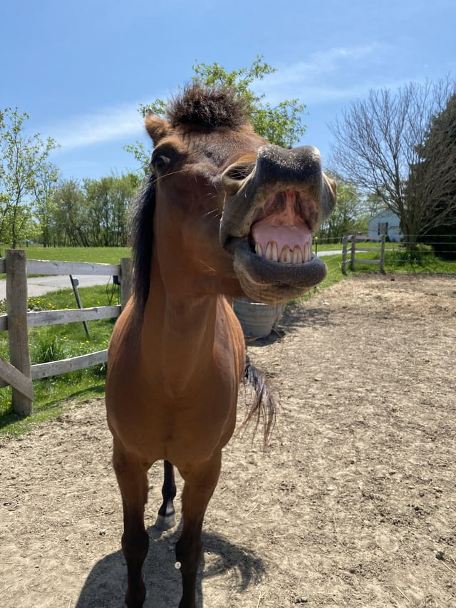 Cheezburger Image 10611443968