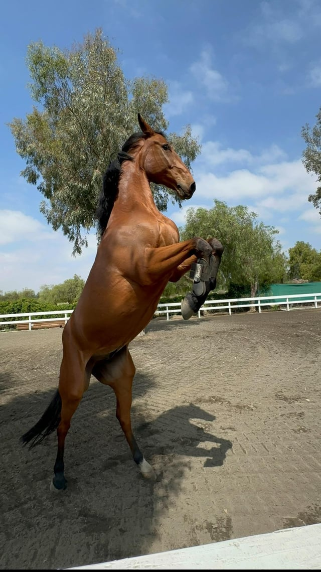 Cheezburger Image 10611445248