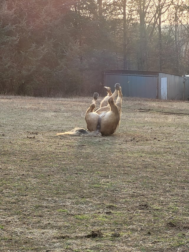 Cheezburger Image 10611445760