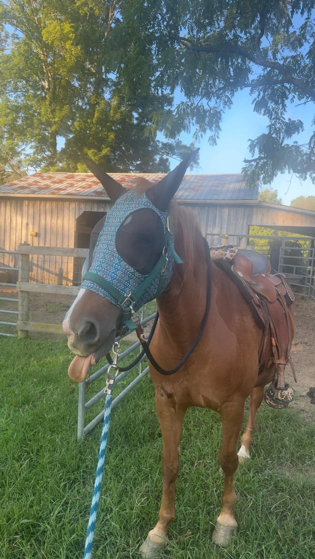 Cheezburger Image 10611446016