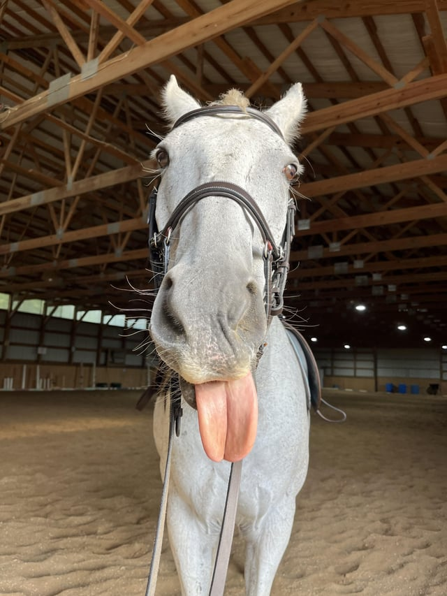 Cheezburger Image 10611446528