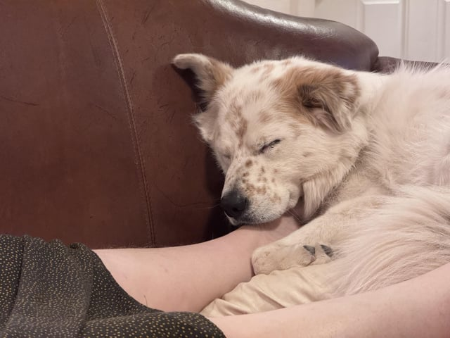 Cheezburger Image 10611449088