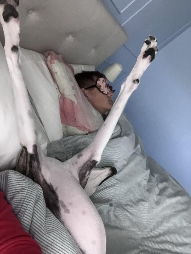 Cheezburger Image 10611449344