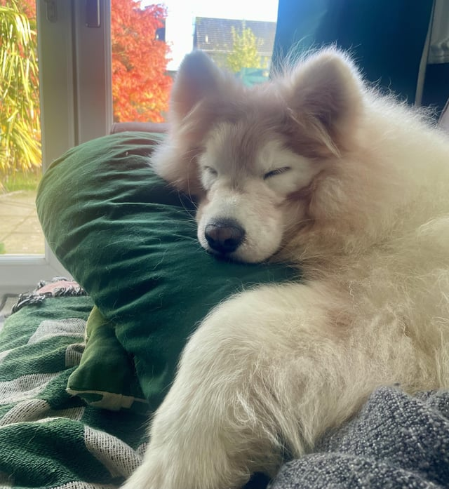 Cheezburger Image 10611449856